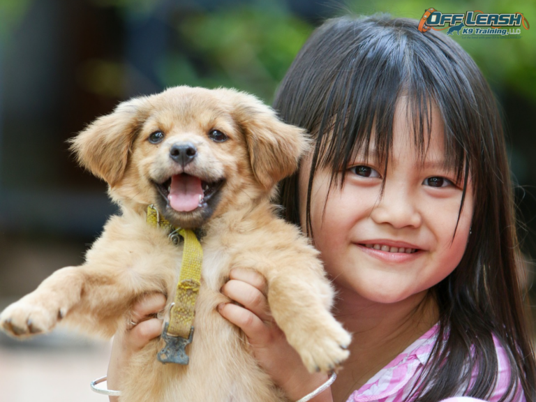 Promoting Pawsitivity: The Key to Dog Safety Education for Kids