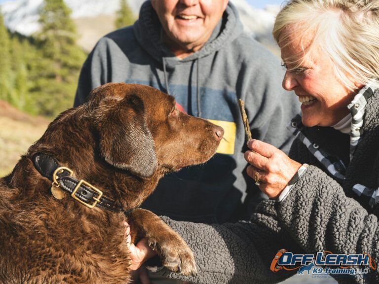 The Power of Protecting Your Pup: Why Setting Boundaries with Strangers is Essential