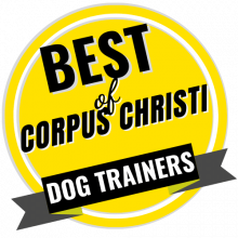 best of corpus christi